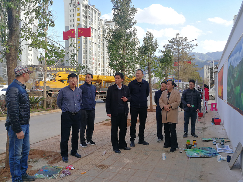 01 在会泽县城看望参加墙体美化的美术学院师生,潘利华、满江泉等领导陪同.jpg