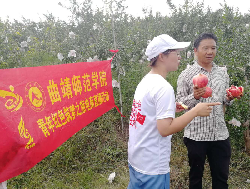 4 在娜姑镇牛泥塘村开展石榴直播带货活动.jpg