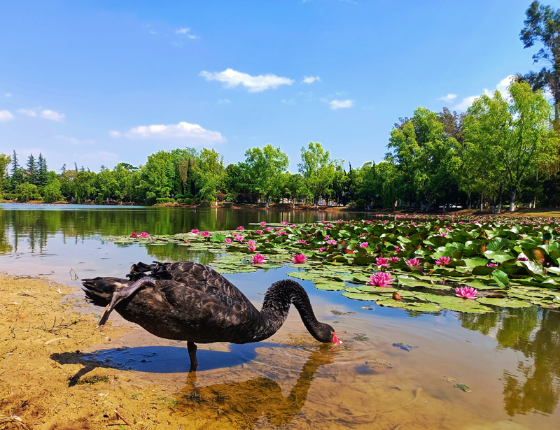 4 前路“躬行”（教师教育学院 周锐艳 摄）s.jpg
